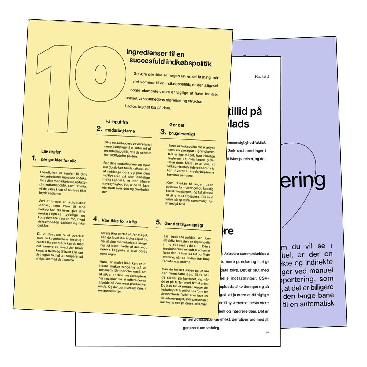 Forside af Pleos Ebog - 10 ingredienser til succesfuld indkøbspolitik