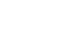 Fortune 500 Logo